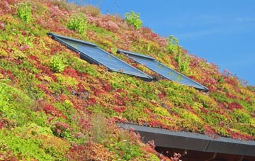 Bernards Heath living roof systems